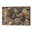 Agate  by Albena Hristova, Canvas Wall Art For Cheap