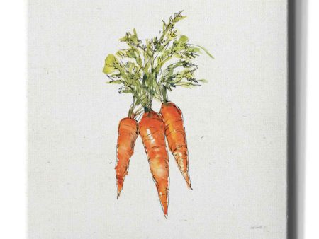 Veggie Market V Carrots  by Anne Tavoletti, Canvas Wall Art Discount