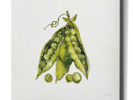 Veggie Market IV Peas  by Anne Tavoletti, Canvas Wall Art Online now