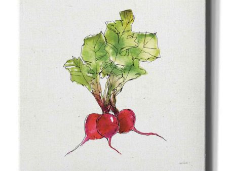 Veggie Market II Radish  by Anne Tavoletti, Canvas Wall Art Sale