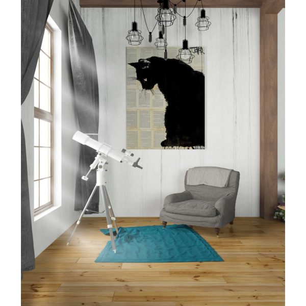 Cat Black  by Loui Jover, Canvas Wall Art For Discount