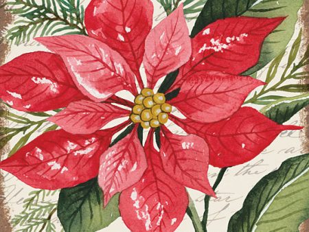 CIN3272 - Red Poinsettia Botanical - 12x12 on Sale