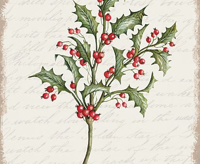 CIN3280 - Holly Christmas Botanical - 12x16 on Sale