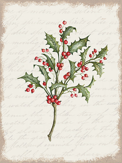 CIN3280 - Holly Christmas Botanical - 12x16 on Sale