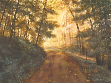 BR553 - Golden Forest - 16x12 Online Sale