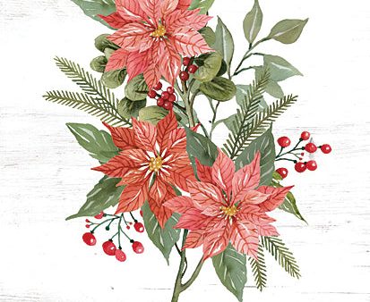 CIN3449 - Poinsettia Christmas Botanical - 12x16 Hot on Sale