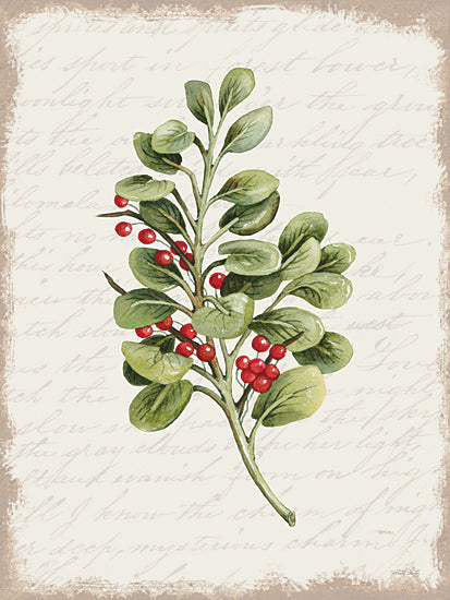 CIN3279 - Berries Christmas Botanical - 12x16 Online now