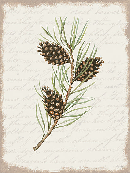 CIN3281 - Pine Cone Botanical I - 12x16 Hot on Sale