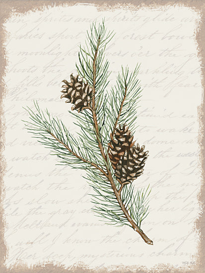 CIN3282 - Pine Cone Botanical II - 12x16 Cheap